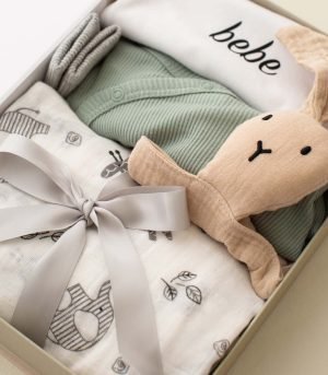 Unisex Baby Gift Box | Sage Serenity3